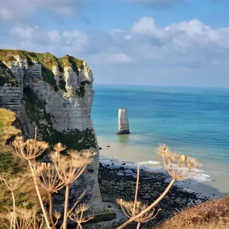 Maupiti Proche Etretat Et Fecamp * Vattetot-sur-Mer